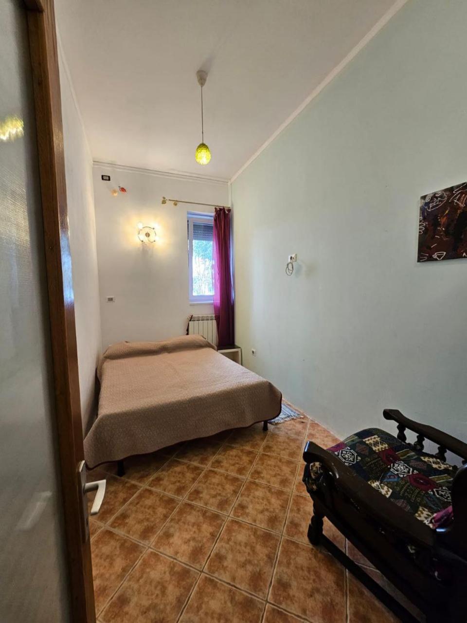 Vila Flavia B&B Κονστάντζα Εξωτερικό φωτογραφία