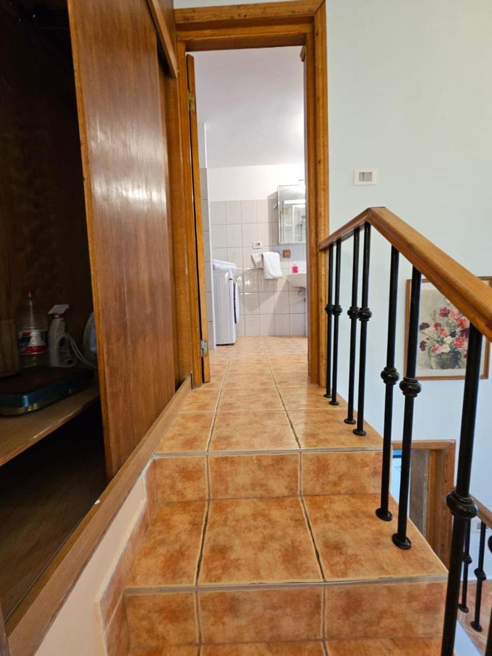 Vila Flavia B&B Κονστάντζα Εξωτερικό φωτογραφία