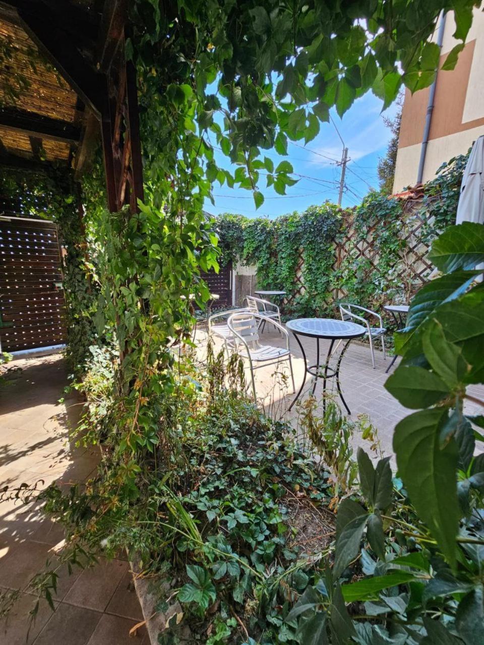 Vila Flavia B&B Κονστάντζα Εξωτερικό φωτογραφία