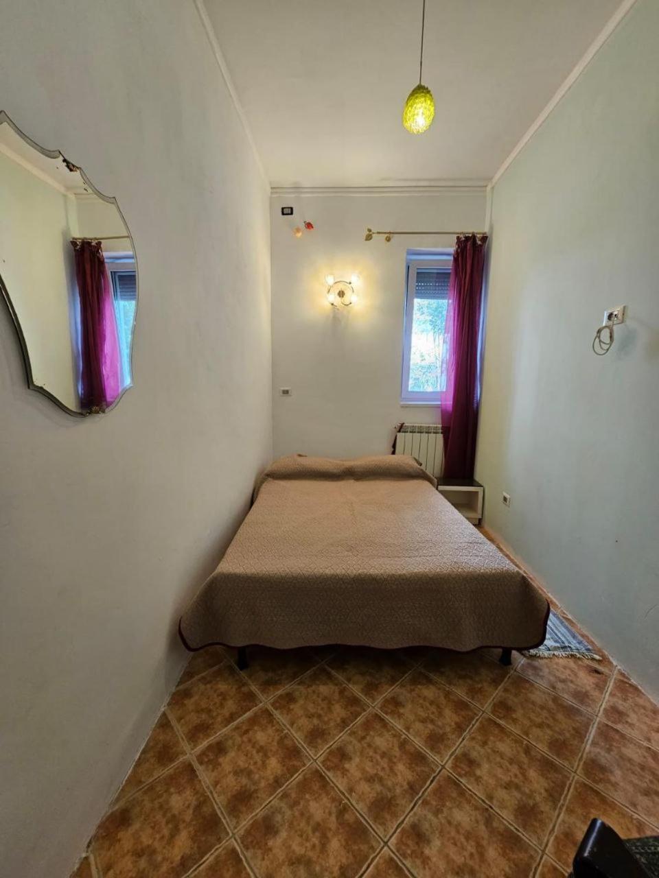 Vila Flavia B&B Κονστάντζα Εξωτερικό φωτογραφία