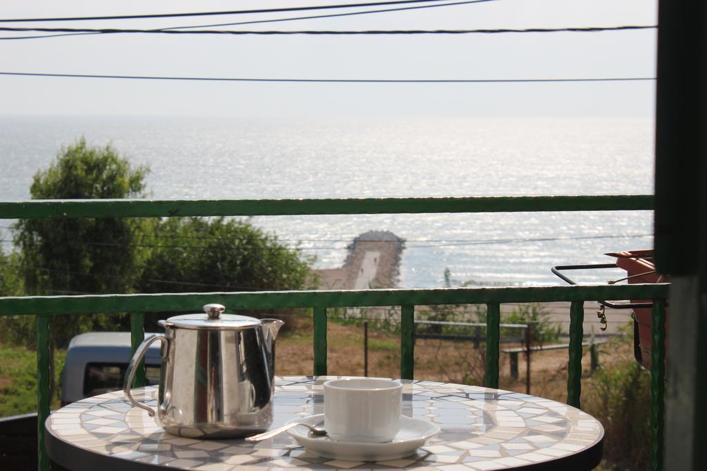 Vila Flavia B&B Κονστάντζα Εξωτερικό φωτογραφία
