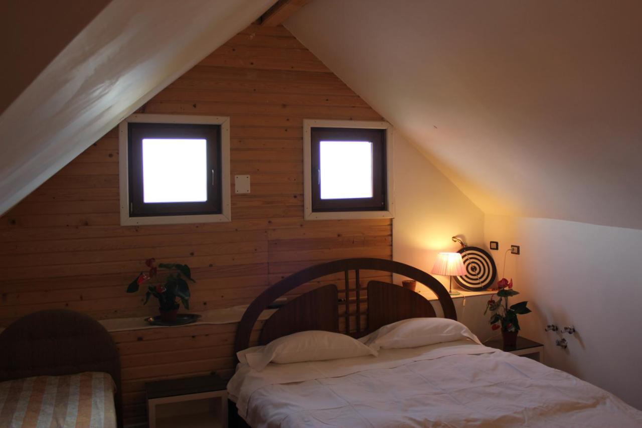 Vila Flavia B&B Κονστάντζα Εξωτερικό φωτογραφία